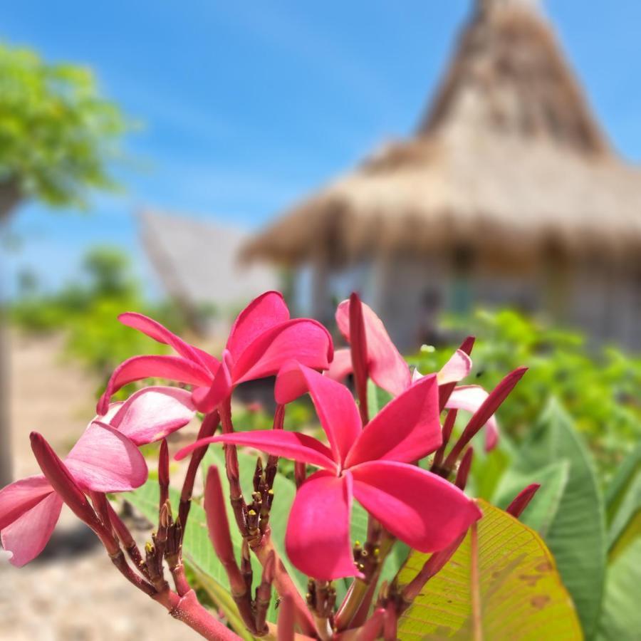 Hars Garden Sumba Hotel Waingapu Kültér fotó